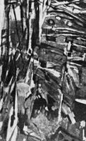 Жан Базен. Обтесанные скалы. 1955